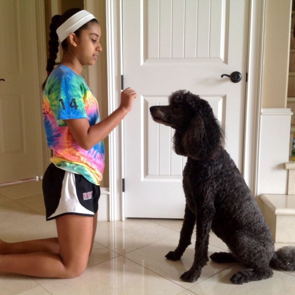 A child kneeling on her knees with a dog Description automatically generated