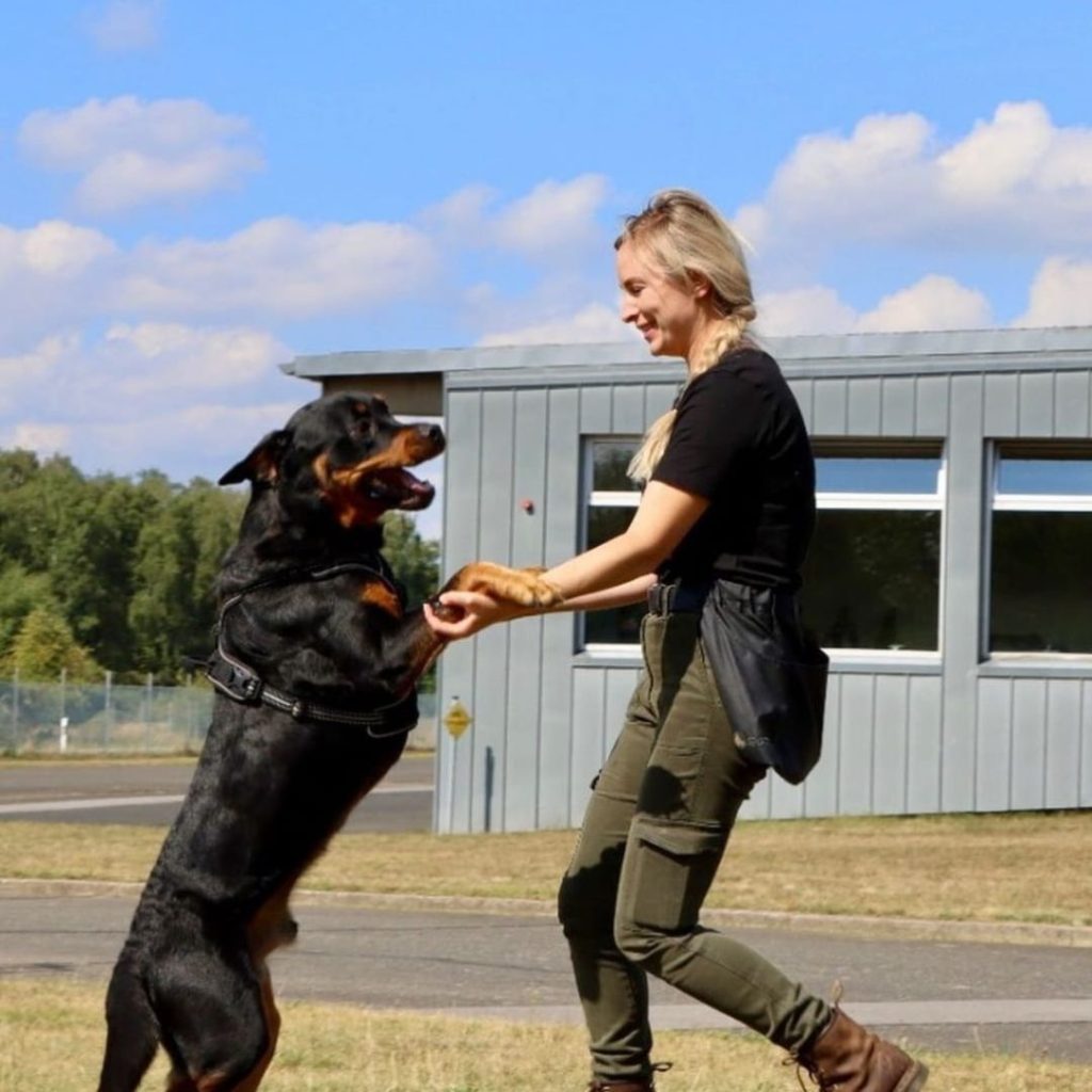 A person holding a dog up to her paw Description automatically generated