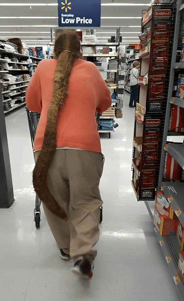 A person with a long tail walking in a store Description automatically generated